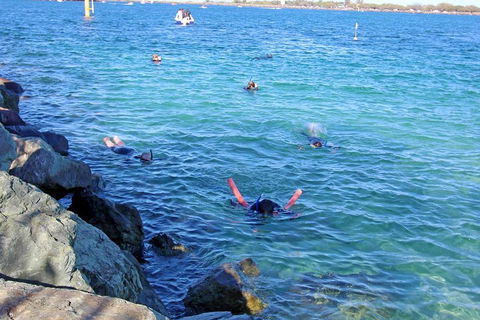 Wave Break Island Scuba Diving On The Gold Coast - Accommodation Nelson Bay 1