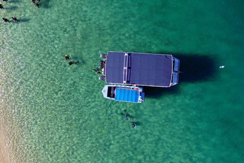 Wave Break Island Scuba Diving On The Gold Coast - Accommodation Nelson Bay 2