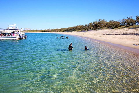 Wave Break Island Scuba Diving On The Gold Coast - Accommodation Nelson Bay 4