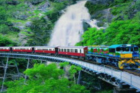 Cairns ATV Adventure Tour And Morning Train - Accommodation Nelson Bay 4