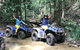 Cairns ATV Adventure Tour And Morning Train - thumb 5