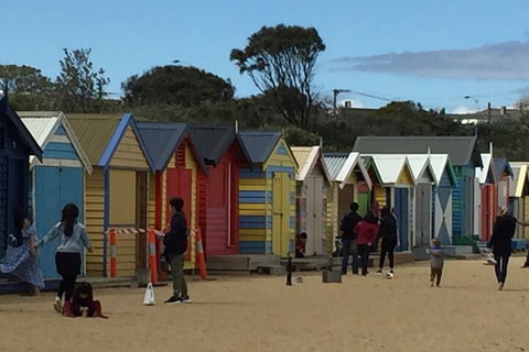 Private Half Day Melbourne City Tour With Local Guide - Accommodation Nelson Bay 2