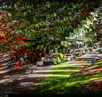 Fully Inclusive Blue Mountains Private Tour inc Scenic World  Featherdale entry - Accommodation Nelson Bay