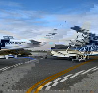 Full Day Tour by Seaplane to Rottnest Island Small Group Trip - Accommodation Nelson Bay