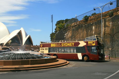 Big Bus Sydney And Bondi Hop-on Hop-off Tour - Accommodation Nelson Bay 3
