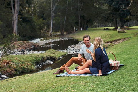Mt Tamborine - Hinterland Wonders Self Guided - Accommodation Nelson Bay 0