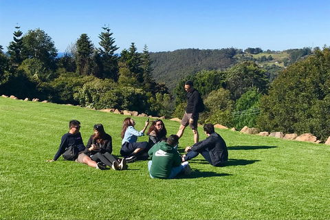 Mt Tamborine - Hinterland Wonders Self Guided - Accommodation Nelson Bay 1