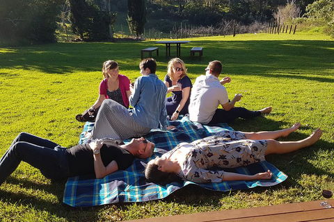 Mt Tamborine - Hinterland Wonders Self Guided - Accommodation Nelson Bay 2