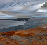 Kangaroo Island Luxury Small Group 'Flinders Chase Focus' Full Day Tour - Nelson Bay Accommodation.com