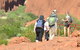 Afternoon Kata Tjuta Small Group Tour - thumb 0