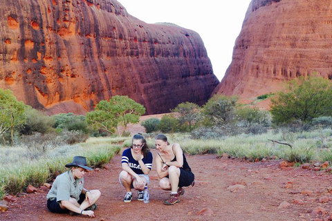 Afternoon Kata Tjuta Small Group Tour - Accommodation Nelson Bay 2