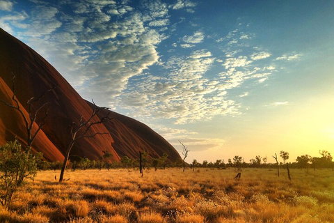 Highlights Of Uluru Including Sunrise And Breakfast - Accommodation Nelson Bay 0