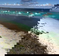 Experience Rottnest with Ferry  Bike Hire from Perth or Fremantle - Accommodation Nelson Bay