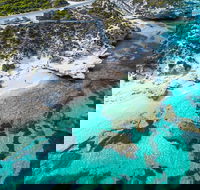 Rottnest Island Round-Trip Ferry from Perth or Fremantle - Accommodation Nelson Bay