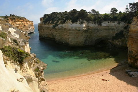 Melbourne Super Saver: Great Ocean Road + Mornington Peninsula + Attraction Pass - Accommodation Nelson Bay 3