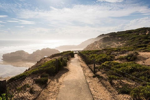 Melbourne Super Saver: Great Ocean Road + Mornington Peninsula + Attraction Pass - Accommodation Nelson Bay 4