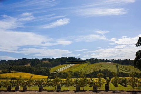 Melbourne Super Saver: Great Ocean Road + Mornington Peninsula + Attraction Pass - Accommodation Nelson Bay 5