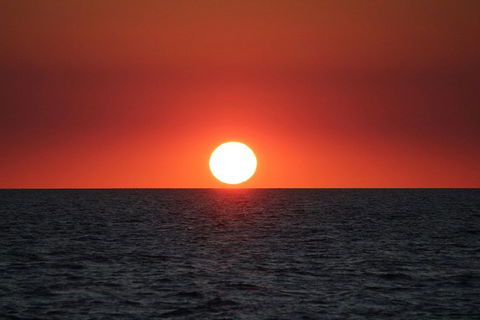 Roebuck Bay Snubfin Dolphin Cruise - Accommodation Nelson Bay 3