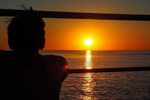 Roebuck Bay Snubfin Dolphin Cruise - Accommodation Nelson Bay 4