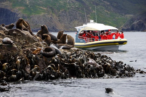3-Hour Bruny Island Cruise From Adventure Bay, Bruny Island - Accommodation Nelson Bay 4