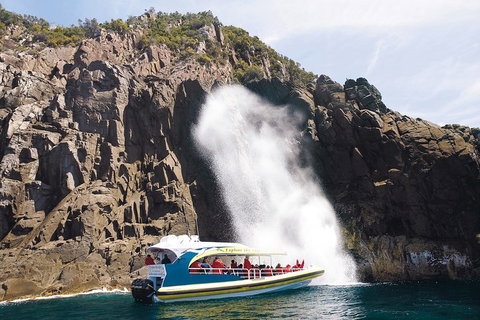 3-Hour Bruny Island Cruise From Adventure Bay, Bruny Island - Accommodation Nelson Bay 5
