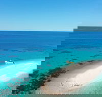 Ocean Safari Great Barrier Reef Experience in Cape Tribulation - Accommodation Nelson Bay