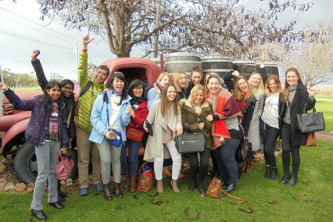 1/2 Day Swan Valley Wine Cheese & Chocolate Tour Inc Afternoon Cruise To Perth - Accommodation Nelson Bay 5