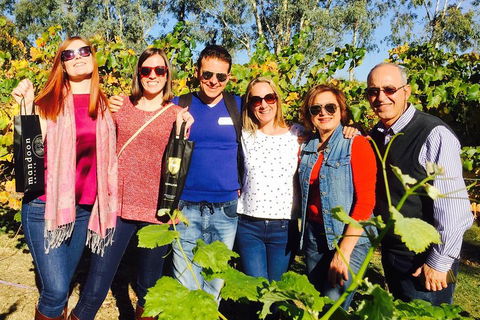 Wine Tasting Day Trip And Swan Valley River Cruise To Perth - Accommodation Nelson Bay 2