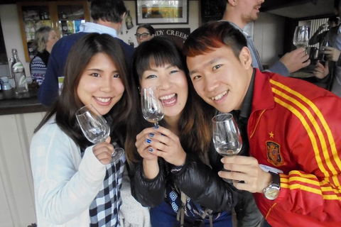 Wine Tasting Day Trip And Swan Valley River Cruise To Perth - Accommodation Nelson Bay 3
