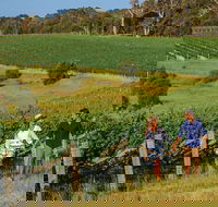 10 Day Perth to Adelaide Private Tour - The Great Australian Wilderness Journey - Accommodation Nelson Bay