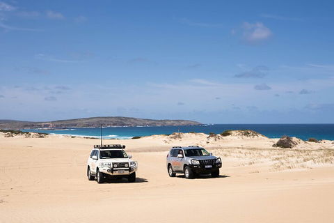 3 Day Port Lincoln And Coffin Bay Private Tour - Accommodation Nelson Bay 0