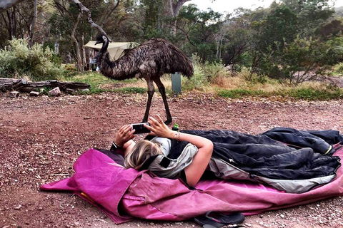 6 Day Esperance & Margaret River Adventure Tour - Accommodation Nelson Bay 5