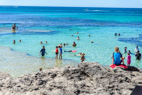 Rottnest Island Roundtrip Fast Ferry From Hillarys Boat Harbour - Accommodation Nelson Bay 1