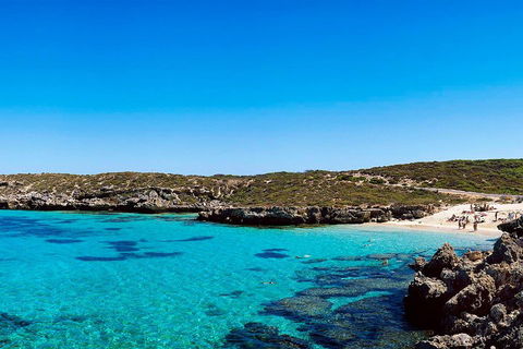 Rottnest Island Roundtrip Fast Ferry From Hillarys Boat Harbour - Accommodation Nelson Bay 4