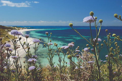 Rottnest Island Full-Day Trip With Guided Island Tour From Perth - Accommodation Nelson Bay 2