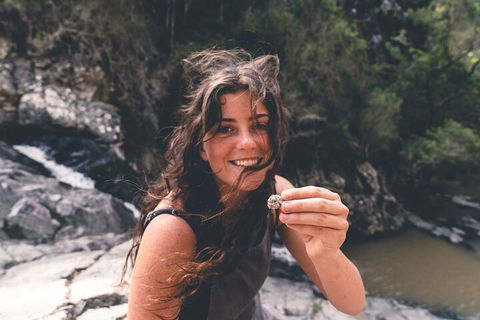 Springbrook AndTamborine Rainforest Tour Incl Natural Bridge And Glow Worm Cave - Accommodation Nelson Bay 1