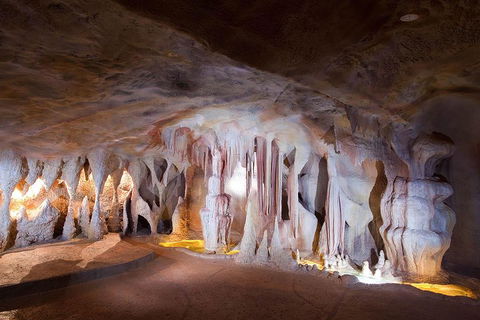 Springbrook AndTamborine Rainforest Tour Incl Natural Bridge And Glow Worm Cave - Accommodation Nelson Bay 4