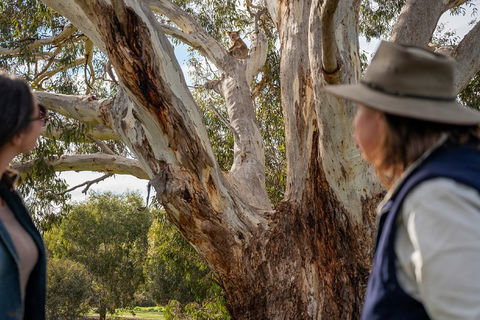 NEW TOUR - Kangaroo Island Road To Recovery Tour (1 Day/1 Night) - Accommodation Nelson Bay 0