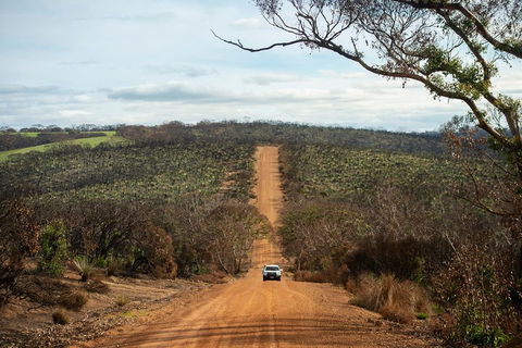 NEW TOUR - Kangaroo Island Road To Recovery Tour (1 Day/1 Night) - Accommodation Nelson Bay 2