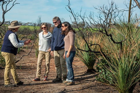 NEW TOUR - Kangaroo Island Road To Recovery Tour (1 Day/1 Night) - Accommodation Nelson Bay 4