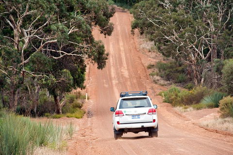 Small-Group Kangaroo Island 4WD Tour From Adelaide - Accommodation Nelson Bay 3