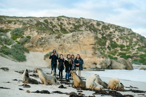 Small-Group Kangaroo Island 4WD Tour From Adelaide - Accommodation Nelson Bay 4