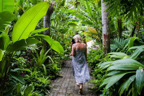 Cairns City Sights And Surrounds Tour - Accommodation Nelson Bay 2