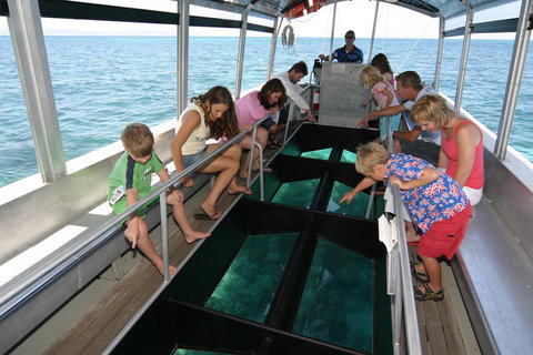 Cairns City Sights And Surrounds Tour - Accommodation Nelson Bay 5