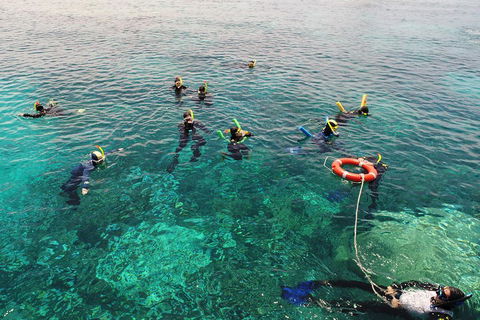 Seastar Luxury Outer Great Barrier Reef Island And Reef Tour From Cairns - Accommodation Nelson Bay 2