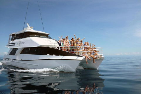 Seastar Luxury Outer Great Barrier Reef Island And Reef Tour From Cairns - Accommodation Nelson Bay 4