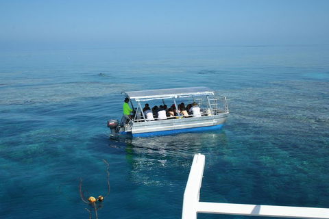 Seastar Luxury Outer Great Barrier Reef Island And Reef Tour From Cairns - Accommodation Nelson Bay 5