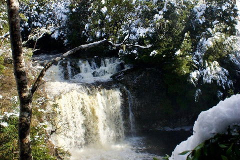 Cradle Mountain Park Explorer Guided Tour - Accommodation Nelson Bay 4