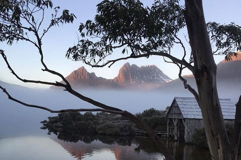 Cradle Mountain Park Explorer Guided Tour - Accommodation Nelson Bay 5