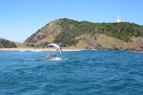 Kayaking With Dolphins In Byron Bay Guided Tour - Accommodation Nelson Bay 0